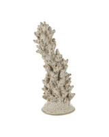 Staghorn Coral Object 17 Inch Tall and 6 Inch Wide by Currey Company - 1200-1044
