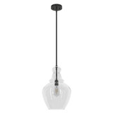 Maple Park 1 Light Medium Pendant by Hunter Fans - 19566