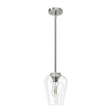 Vidria 1 Light Traditional Small Pendant by Hunter Fans - 19723
