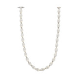 Collier 84 1 Light Mini Chandelier by VC Modern 700CLR84NB-LED930S - 700CLR84NB-LED930S