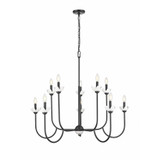 Allistair 10 Light Chandelier 35 Inch Tall and 42 Inch Wide by Z Lite - 352-10