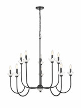 Allistair 10 Light Chandelier 35 Inch Tall and 42 Inch Wide by Z Lite - 352-10