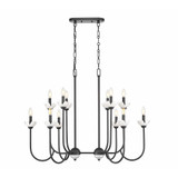 Allistair 12 Light Linear Chandelier 30.5 Inch and 24.5 Inch Wide by Z Lite - 352-42L