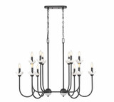 Allistair 12 Light Linear Chandelier 30.5 Inch and 24.5 Inch Wide by Z Lite - 352-42L