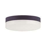 Illuminaire II 15W 1 LED 7 Inch Wide Round Flush Mount by Maxim - 57682CLFT