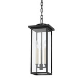 Whale Avenue 3 Light Small Outdoor Pendant by Bailey Street Home - 154-BEL-4623540