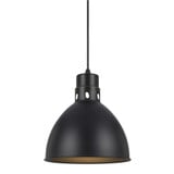 Webster 1 Light Small Pendant by Cal - UP-1109-6