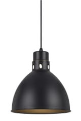 Webster 1 Light Small Pendant by Cal - UP-1109-6