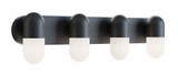 Irvine 36W 4 LED Light Vanity Light by AFX - IRVV3206LAJUD