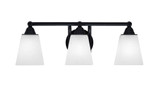 Paramount 3 Light Vanity Light 21 Inch Length by Toltec - 174-725-46