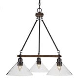 Blacksmith 3 Light Medium Chandelier by Toltec 1766-245275 - 1766-245275