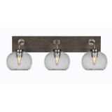 Oxbridge 3 Light Vanity Light 27.25 Inch Length by Toltec - 1773-GPDW-202