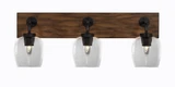 Oxbridge 3 Light Down Glass Vanity Light 26.75 Inch Length by Toltec - 1773-GPDW-4810