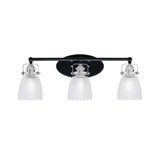 Easton 3 Light Clear Ribbed Vanity Light by Toltec - 1933-WHBN-500
