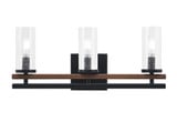 Belmont 3 Light Vanity Light 18.25 Inch Length by Toltec - 2713-GPDW-800