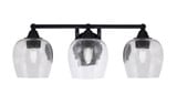 Paramount 3 Light Vanity Light 8 Inch Tall by Toltec - 3423-8-48