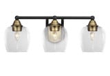 Paramount 3 Light Steel Vanity Light 8 Inch Tall by Toltec - 3423-BN-4810