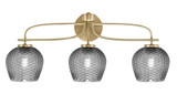 Cavella 3 Light Steel Vanity Light 27.5 Inch Length by Toltec - 3913-4819