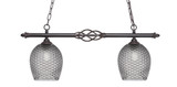 Elegante 2 Light Island 12.75 Inch Tall and 31.5 Inch Length by Toltec - 862-DG-4902