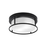 1 Light 12 Inch Wide Flush Mount by Toltec - 812-125