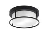 1 Light 12 Inch Wide Flush Mount by Toltec - 812-125