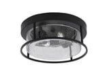 Two Light 12 Inch Wide Flush Mount by Toltec - FM_812_2