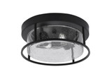 Two Light 12 Inch Wide Flush Mount by Toltec - FM_812_2