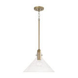 Greer 1 Light Medium Pendant by Capital - 345811