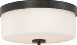 Denver 2 Light Flush Mount by Nuvo - 60-631