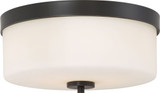 Denver 2 Light Flush Mount by Nuvo - 60-631
