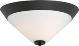 Nome 2 Light 16.88 Inch Wide Flush Mount by Nuvo - 60-652N2L