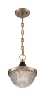 Faro 1 Light Small Pendant by Nuvo - 60-70-1SP