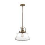 Basel 1 Light Medium Pendant by Nuvo - 60-675-P