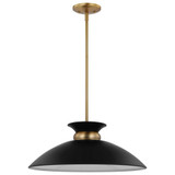 Perkins 1 Light Large Pendant by Nuvo - 60-74-1963W75H1963D