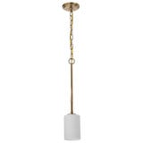 Liam 1 Light Mini Pendant 21.38 Inch Tall and 4.13 Inch Wide by Nuvo - 60/8205