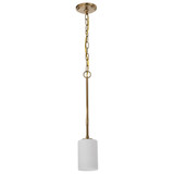 Liam 1 Light Mini Pendant 21.38 Inch Tall and 4.13 Inch Wide by Nuvo - 60/8205