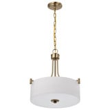 Liam 3 Light Pendant 17.13 Inch Tall and 15.88 Inch Wide by Nuvo - 60/8204