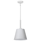 Alexis 1 Light Small Pendant 17.13 x 11 Inches by Nuvo - 60/7939