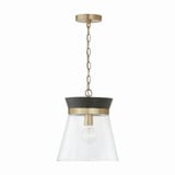 Finn 1 Light Medium Pendant by Capital - 347311