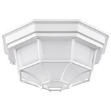 18.5W LED 10.56 Inch Wide Outdoor Spider Cage Flush Mount by Nuvo - 62/1399