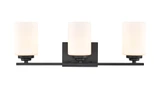 Durham 3 Light Bath Vanity 7.88 Inch Tall and 22 Inch Wide by Millennium - 3183