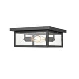 Evanton 2 Light Outdoor Flush Mount 5.25 Inch X 12 Inch Wide by Millennium - 4202