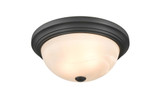 2 Light Flush Mount 5.5 Inch Tall and 13 Inch Wide by Millennium - 4603