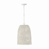 Naomi 1 Light Medium Pendant by Capital - 347512