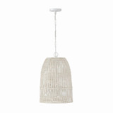 Naomi 1 Light Medium Pendant by Capital - 347512