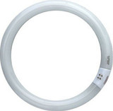 Circline Fluorescent Lamp by Dabmar - DL-22