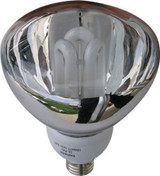CFL Self Ballasted Lamp by Dabmar DL-P40-18 - DL-P40-18