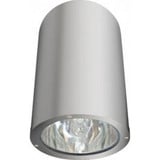 One Light Outdoor Flush Mount by Dabmar DW3765
