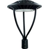 24.13 Inch 80W 1 Led Post Top Mount by Dabmar - GM575-V