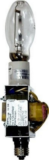 Globe Holder by Dabmar  P-HLD-95 - P-HLD95
